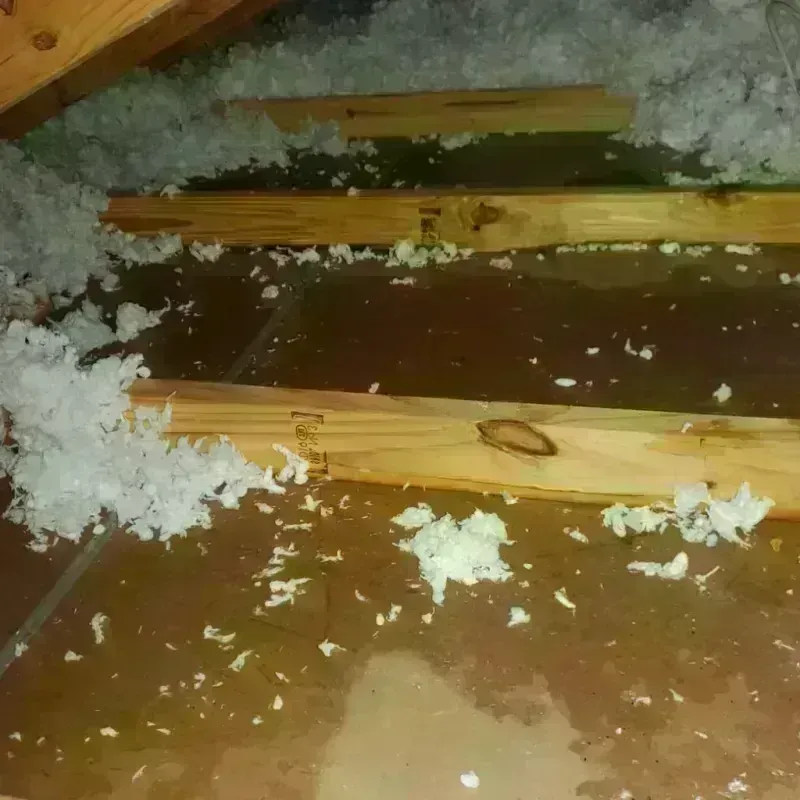 Attic Water Damage in New Baden, IL