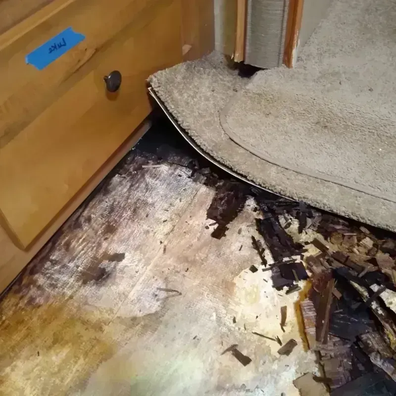 Wood Floor Water Damage in New Baden, IL